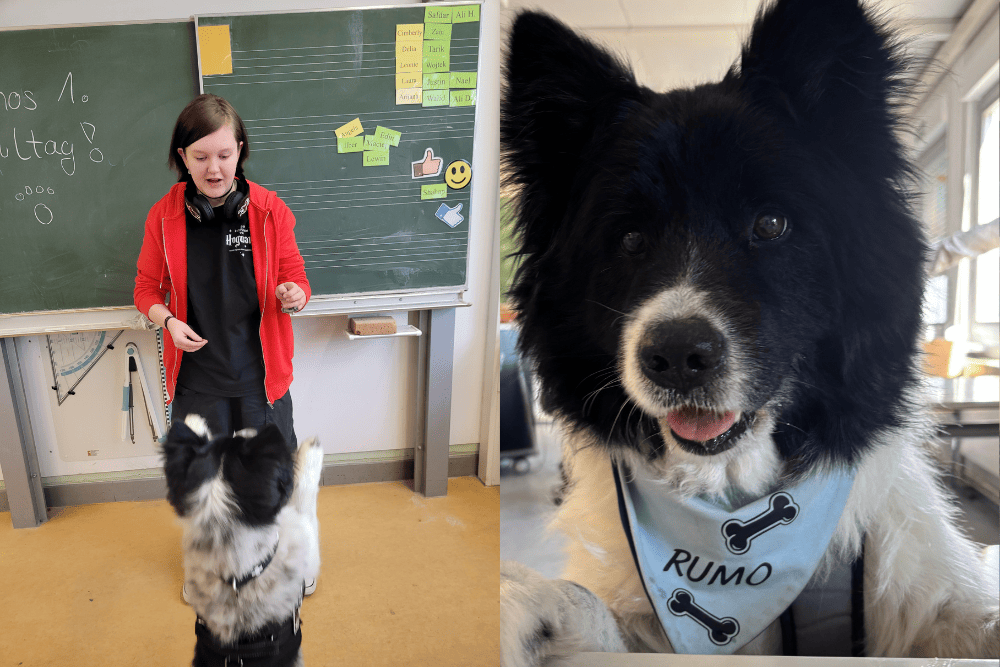 RUMU (18)